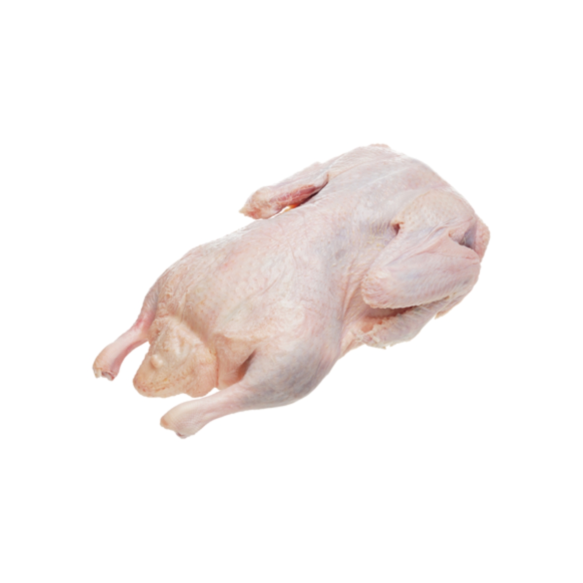 Фото Утка (Улыбино) 1 кг