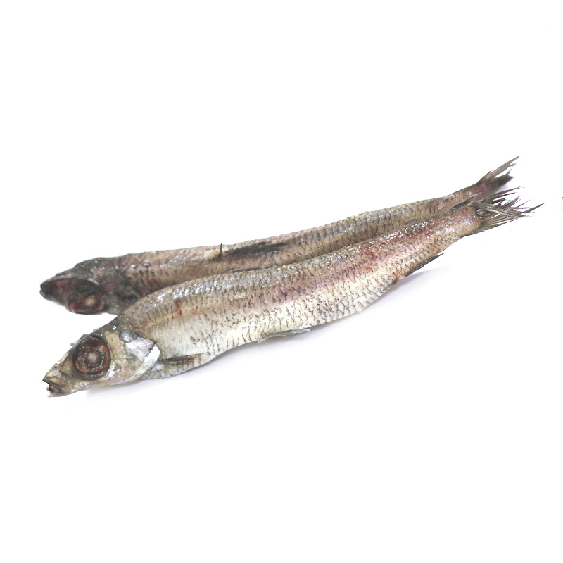 Фото Аргентина н/р