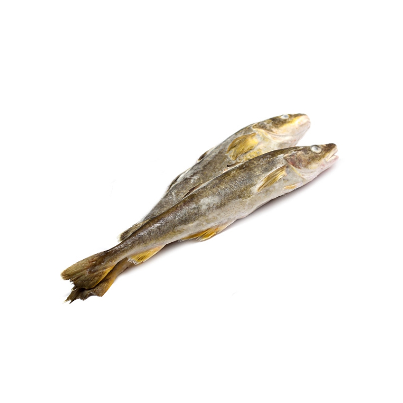 Фото Навага н/р