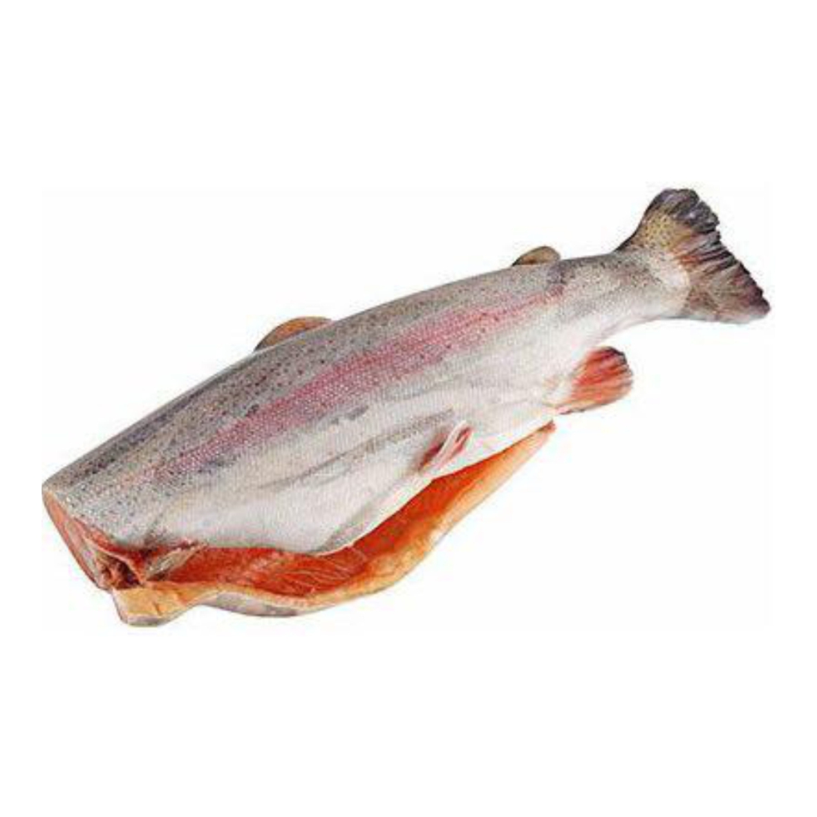 Фото Форель б/г 2,7-3,6