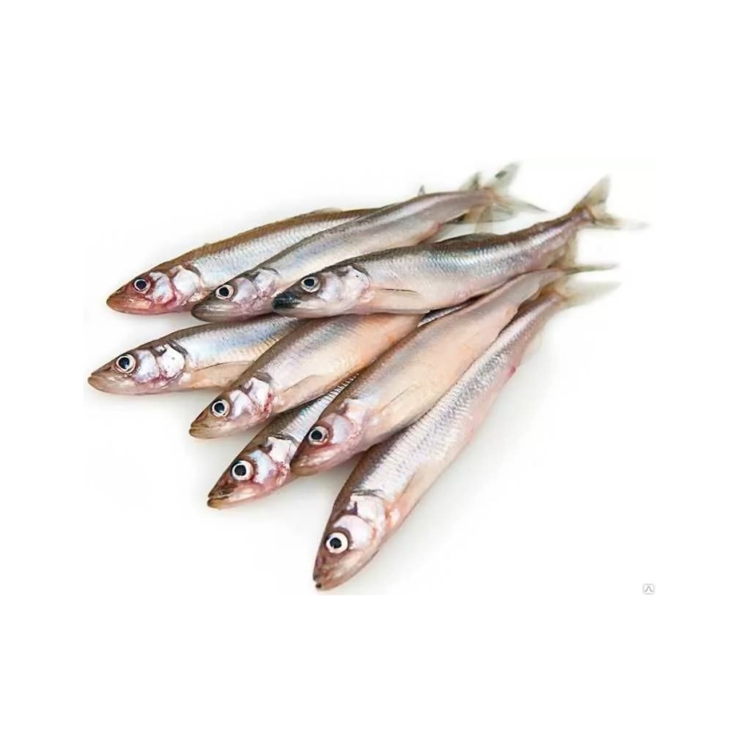 Фото Мойва (Фортуна) 1 кг