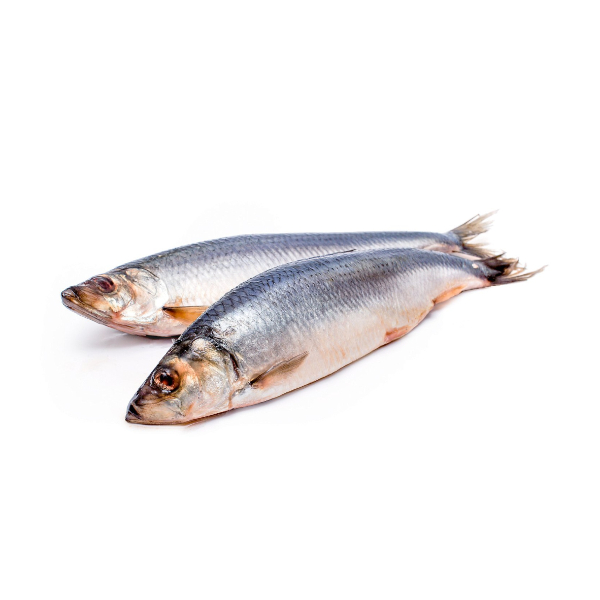 Фото Сельдь с/с (крупная) 1 кг