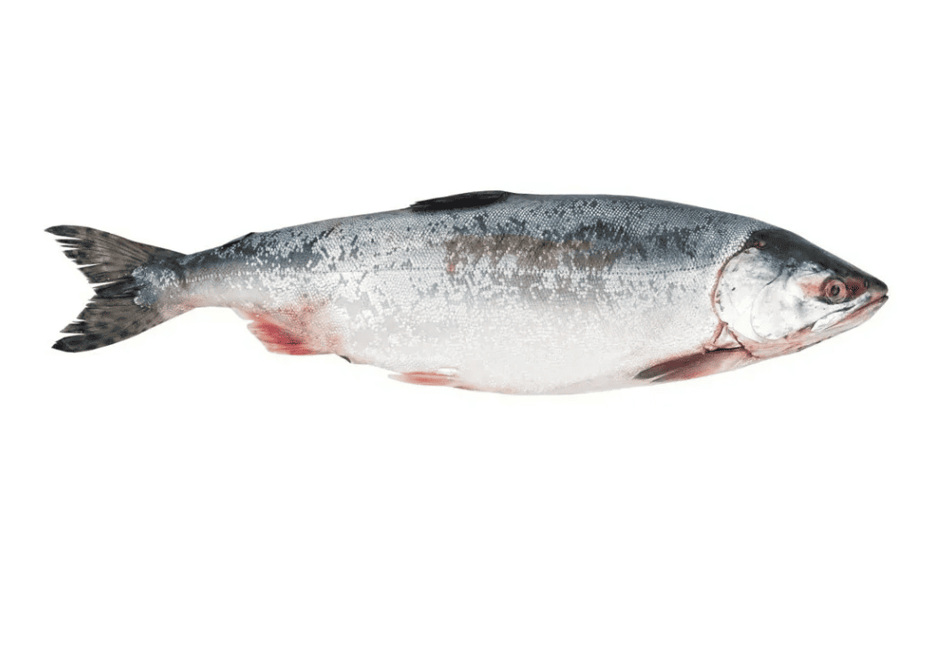 Фото Горбуша н/р (Сима) 1кг