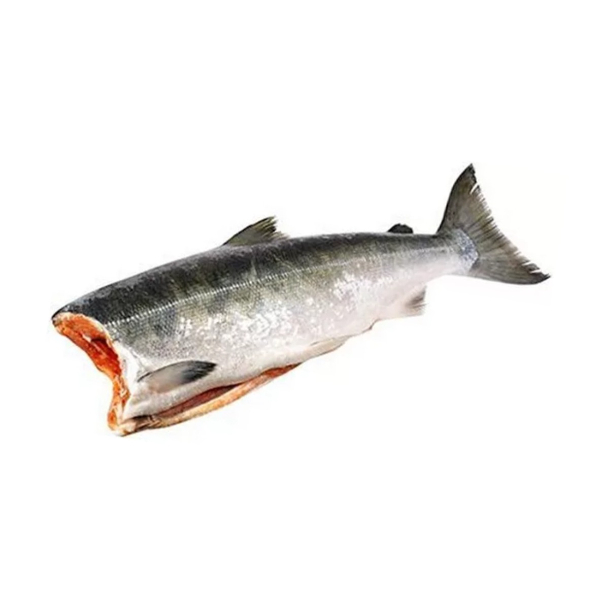 Фото Кижуч ПБГ 1.2-1.9кг