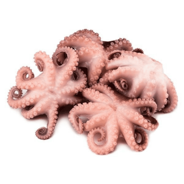 Фото Осьминог 40-60 (Китай) кг