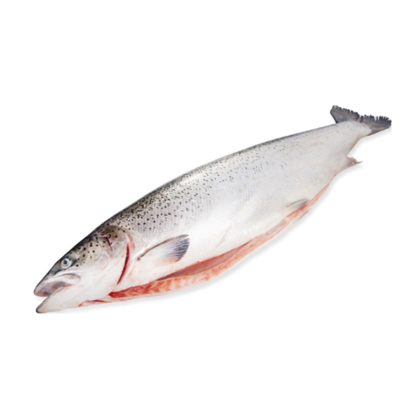 Фото Сёмга ПСГ 2--3кг