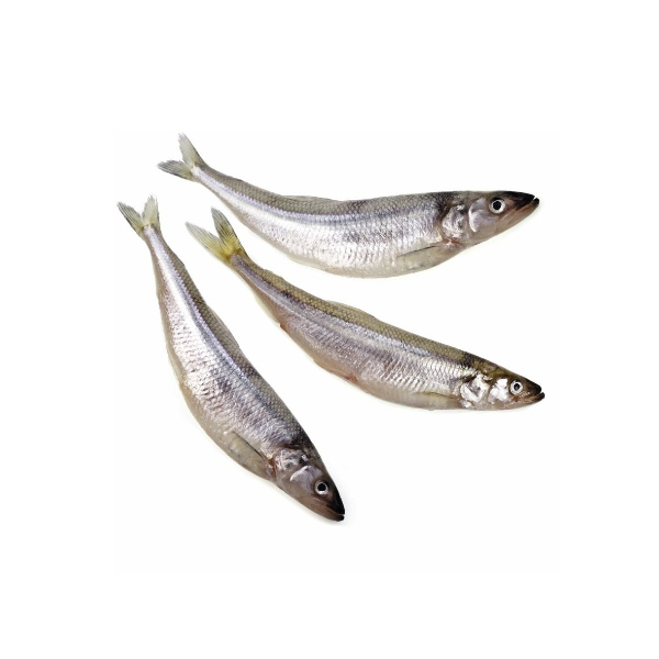 Фото Корюшка н/р 1кг