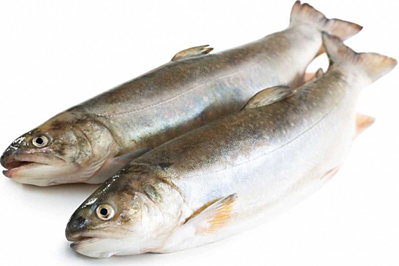 Фото Голец н/р 30 1кг