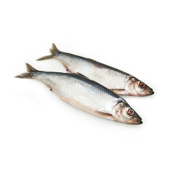 Фото Сельдь т/о 1кг